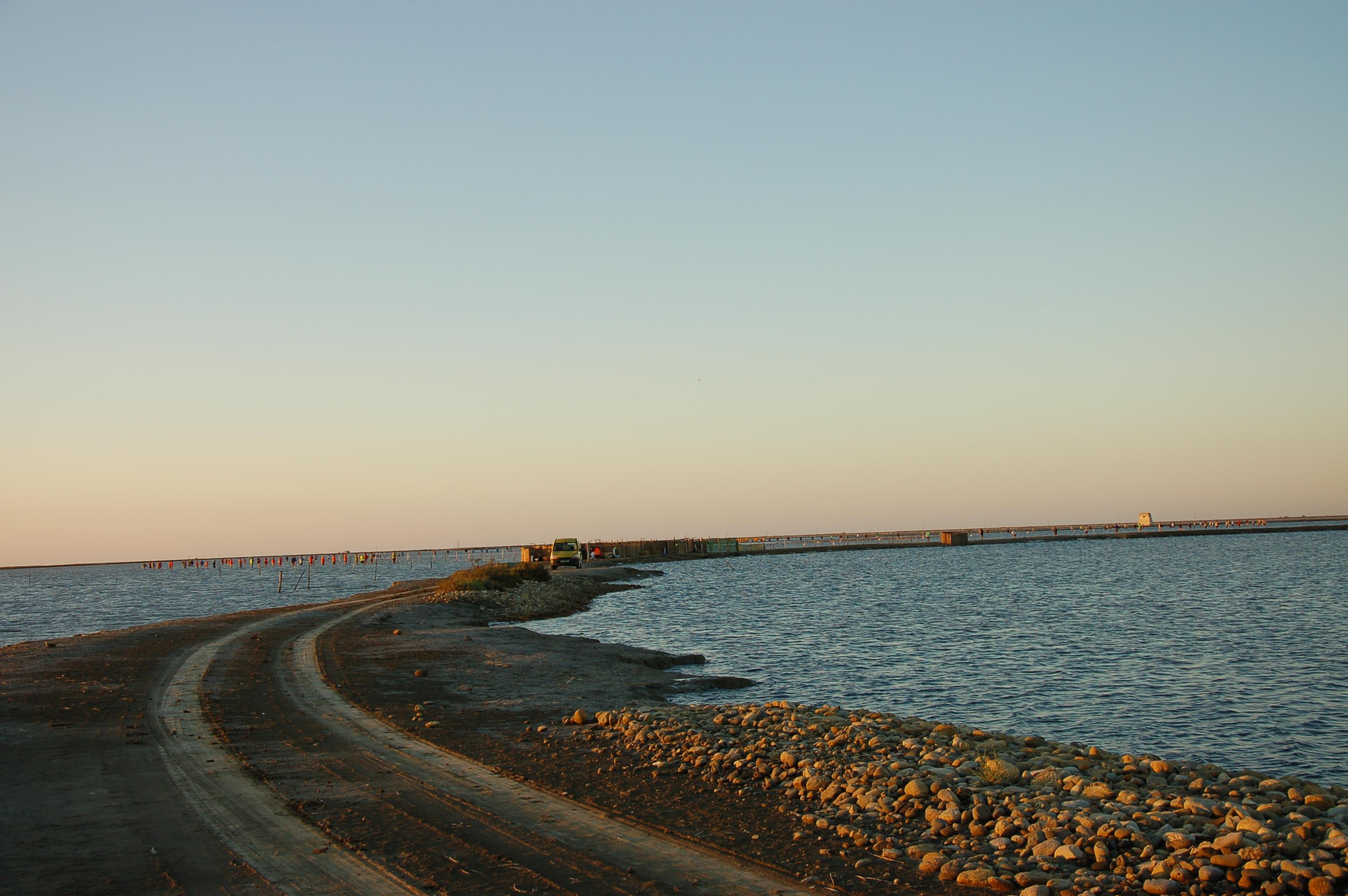 1008040658MCAbag2010 (24).JPG
